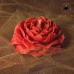 19.webp